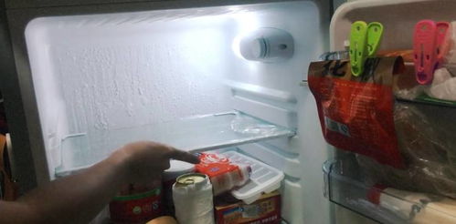 生活 在冰箱里放一块它,让你一辈子都不用清洁冰箱