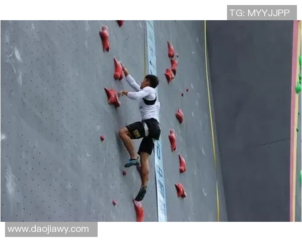 上海滑板队在攀岩联赛中的战术分析与表现评估 上海滑板队在攀岩联赛中的战术分析与表现评估